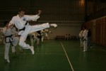 Taekwon-Do - Isaszeg 2009. 02. 6-7. 